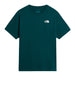 the north face t shirt evolution box uomo nf0a8b6k verde 166726479