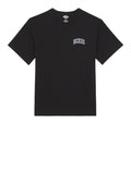Dickies T-shirt Aitkin Unisex DK0A4Y8O - Nero