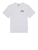 dickies t shirt aitkin unisex dk0a4y8o bianco 3735195