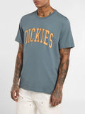Dickies T-shirt Aitkin Uomo DK0A4X9F Stormy Weather - Blu