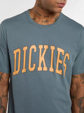 Dickies T-shirt Aitkin Uomo DK0A4X9F Stormy Weather - Blu
