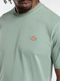 Dickies T-shirt Mapleton Uomo DK0A4XDB Iceberg Green - Verde