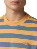 Dickies T-shirt Rivergrove Uomo DK0A4Y8Y Oak Buff - Multicolore