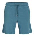 Jack e Jones Bermuda Casual Shorts Sportivi Tgordon Star Uomo 12248831 Oceanview - Blu
