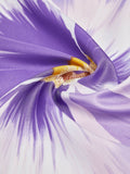 Liu Jo Foulard Donna 2A6053T2745 - Viola