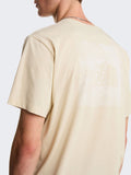 The North Face T-shirt Celebration Uomo NF0A8GV2 - Beige