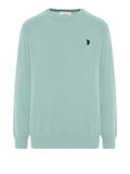 U.S. Polo Assn. Pullover Lin Uomo 3173008-0000185 - Verde