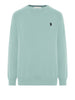 u s polo assn pullover lin uomo 3173008 0000185 verde 168738791