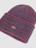 Dickies Berretto Uomo DK0A4Z3J Vintage Violet - Viola