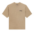 Dickies T-shirt Donna DK0A8BV8 Desert Sand - Beige