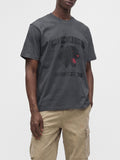 Dickies T-shirt Uomo DK0A8CU2 Charcoal - Grigio
