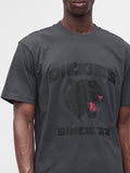 Dickies T-shirt Uomo DK0A8CU2 Charcoal - Grigio