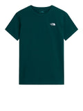 The North Face T-shirt Evolution Simple Dome Uomo NF0A8CZ2 - Verde